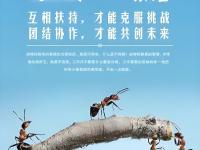 LOL-包含热血奔放斗志昂扬，团队凝聚一往无悔的词条