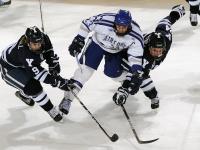 IM电竞投注平台-跨界制霸，从吉林冰场到亚平宁绿茵，体育精神的共同胜利