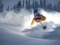 LOL直播-霍勒迪的魔术时刻，当防守成为最锋利的进攻