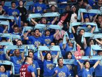 IM电竞游戏-球迷助威声震现场，队伍士气高涨的简单介绍