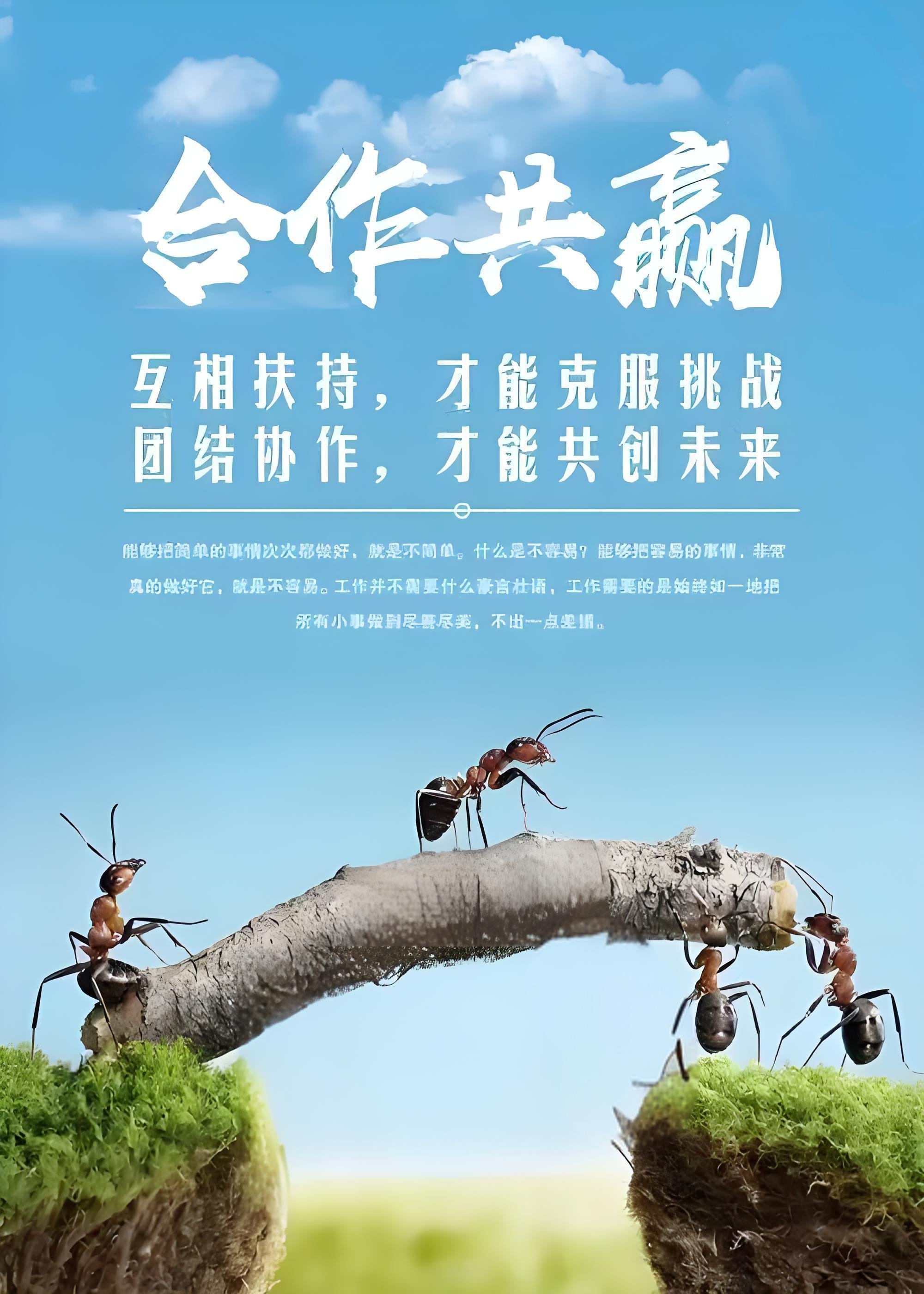 包含热血奔放斗志昂扬，团队凝聚一往无悔的词条