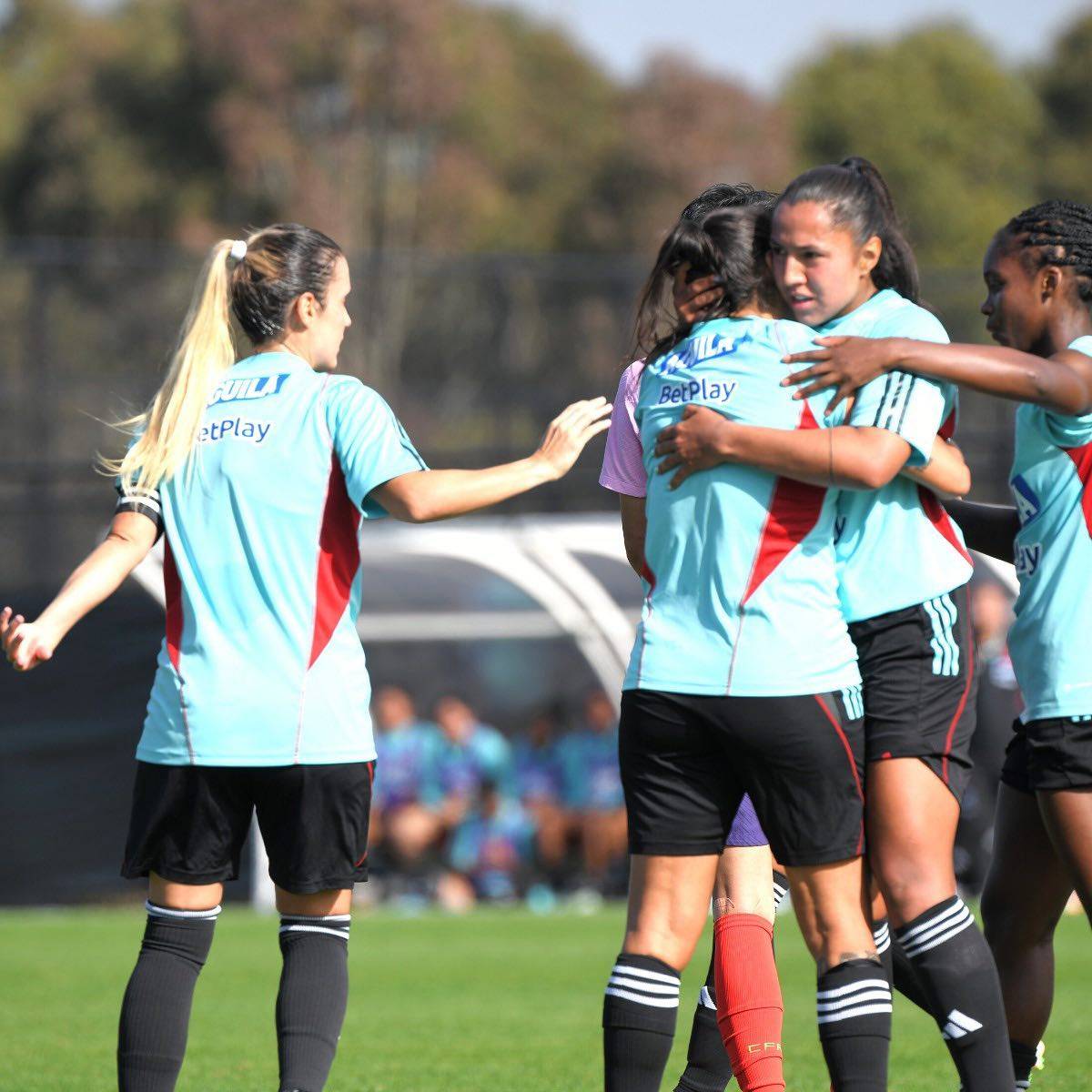 哥伦比亚鏖战日本，德利赫特惊艳世界