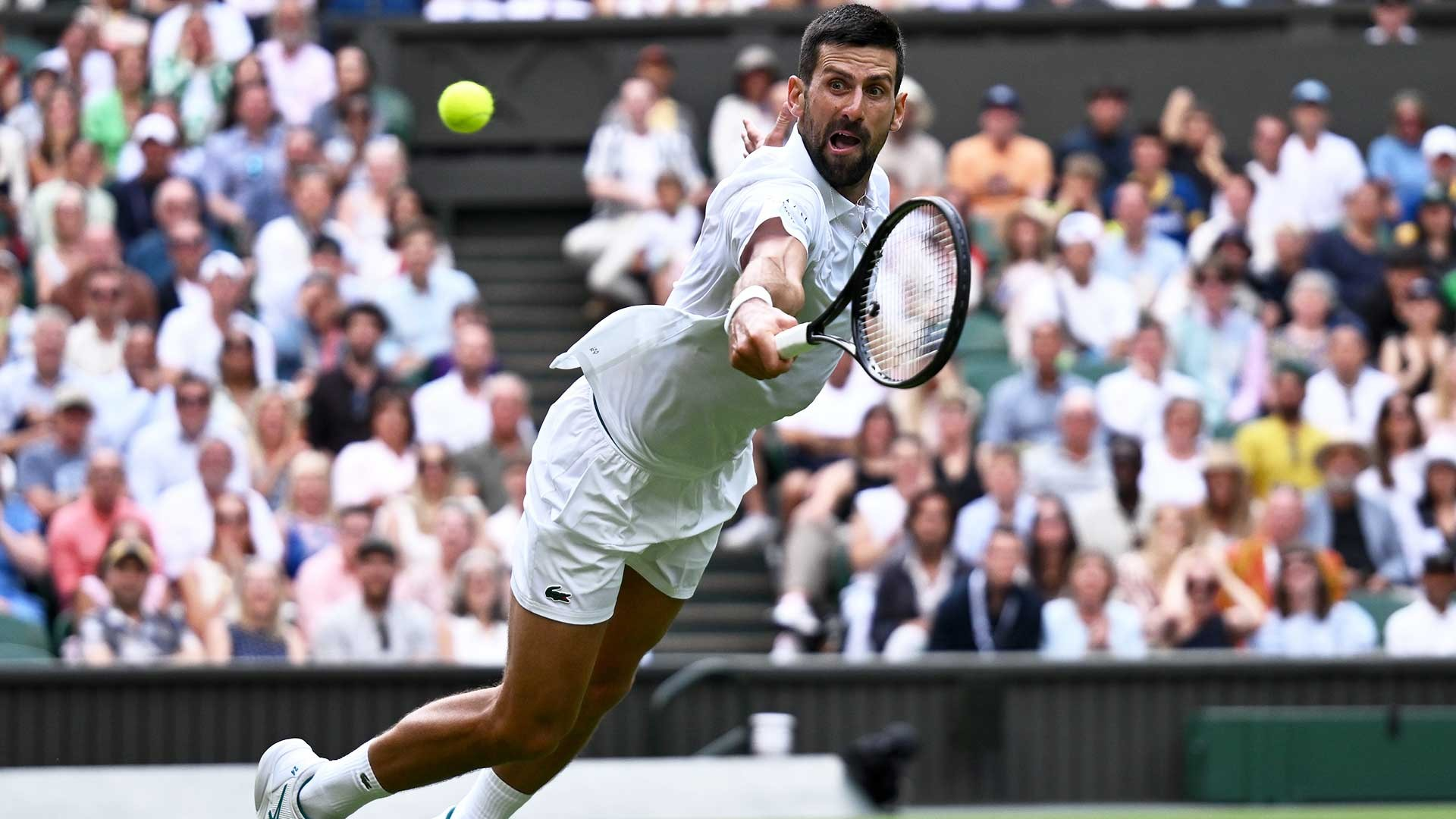 温网轻取拉沃尔杯,德约科维奇点燃赛场的简单介绍 温网轻取拉沃尔杯,德约科维奇点燃赛场的简单介绍