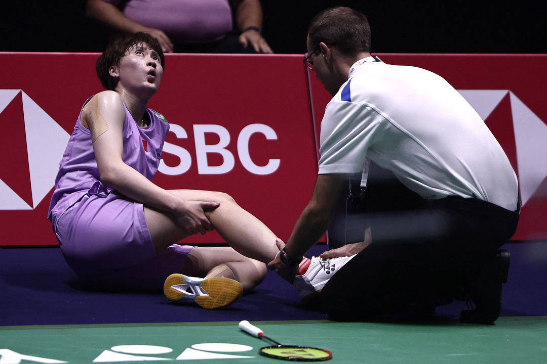 日本队碾压法国队，陈雨菲高光表现的简单介绍