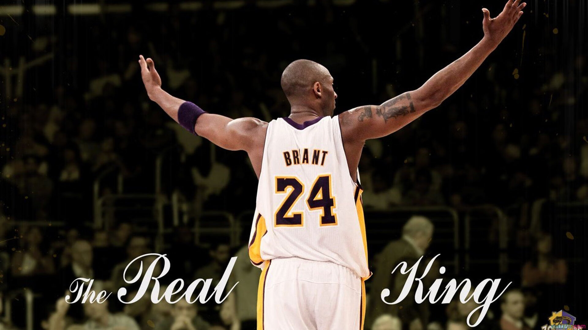 魔术生死战取胜国王，切特在欧冠半决赛接管比赛，双线战场上的奇迹之夜